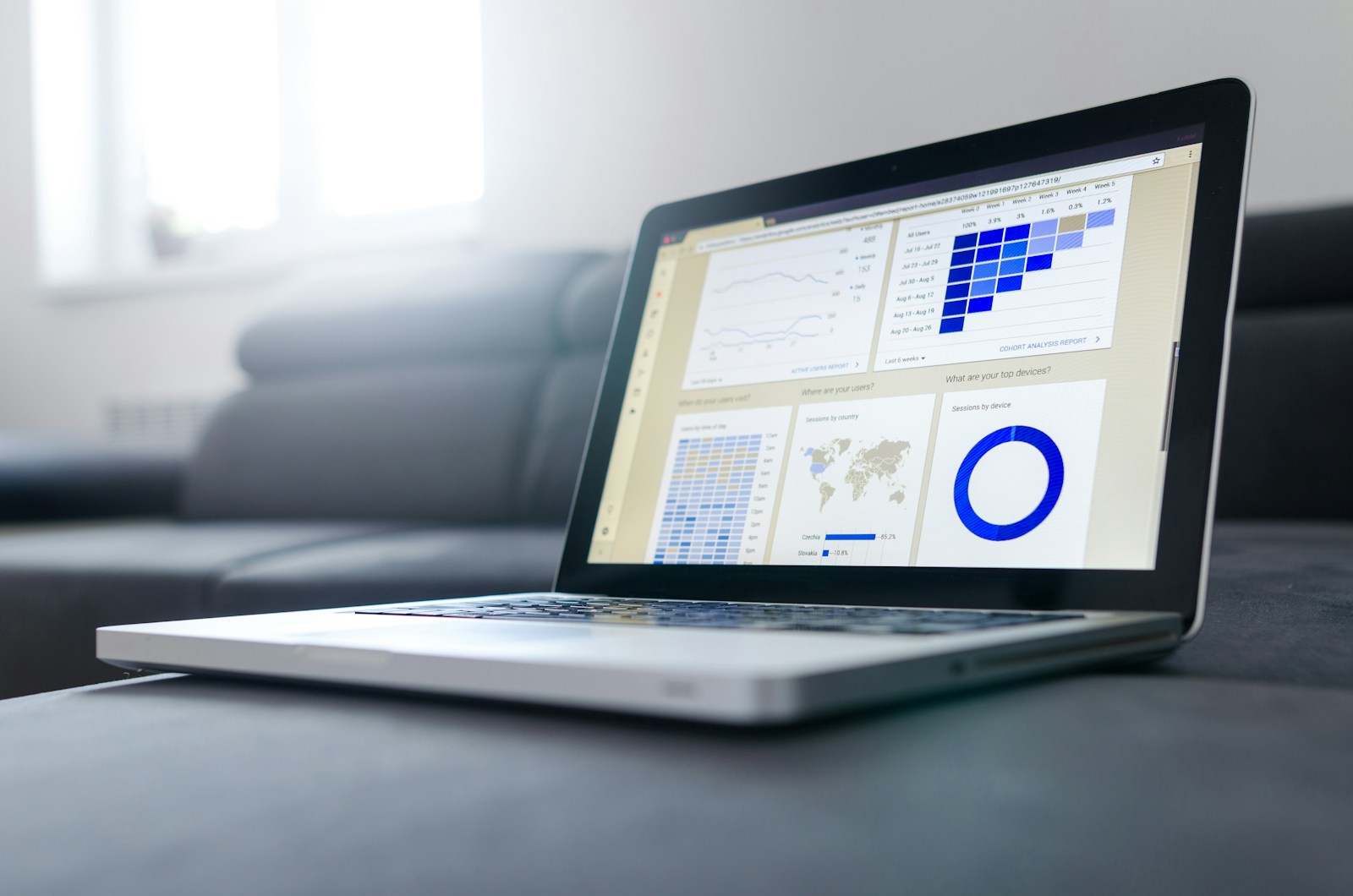Dynamics 365 Customer Insights consultation with Bidniz Technologies